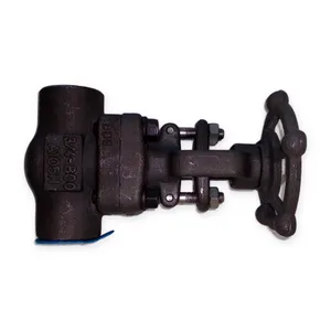 Powell A105 Forged Steel Gate Valve
