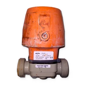 GF 20060711 Valve