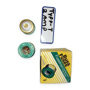 Bussmann T-2 Fusetron Plug Fuse – actual item, photo 1 of 4