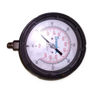 Swagwlok 300 PSI Tube and Connection KPA 2000