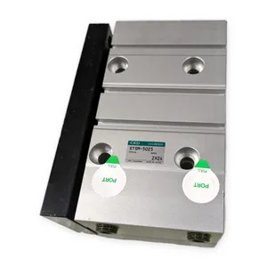 CKD STSM-5025 Table Cylinder Dual Rod Actuator