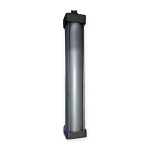 Vega NCDA1B325-1800-03005CDN Air Cylinder