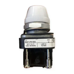 Allen-Bradley 800T-PH16W White Pilot Light