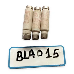 Fuji Electric BLA015D Acting Fuse – actual item, photo 1 of 3