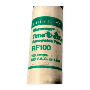 Mersen RF100 Time Delay Renewable Fuse