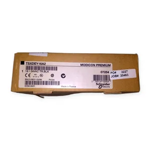 Modicon TSXDEY16A2 PLC Module