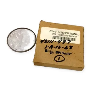 BW 623790DB-G Mechanical Seal