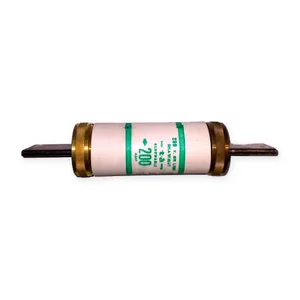Mersen RF200 Renewable Fuse – actual item, photo 1 of 3