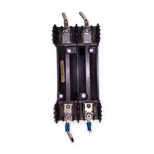 R60030-2PR Amp Fuse – actual item, photo 1 of 6