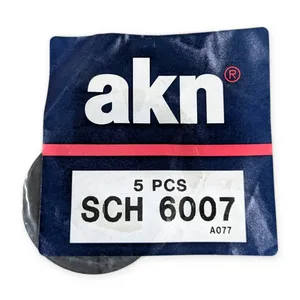 AKN 6007 Deep Groove Ball Bearing