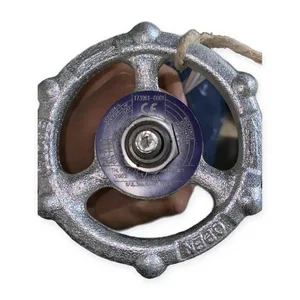 Bonney Forge 3/4” - 150 F316L Stainless Steel Gate Valve