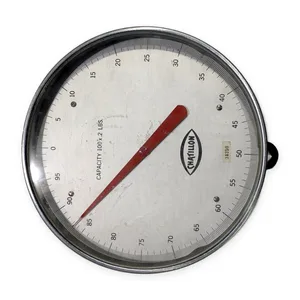 Chatillon 100X2 Capacity LBS 34250