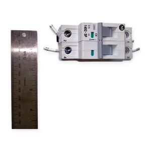 Allen-Bradley 1492-SP2D060 Circuit Breaker