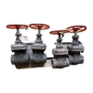 Stockham Cast Iron Gate Valve