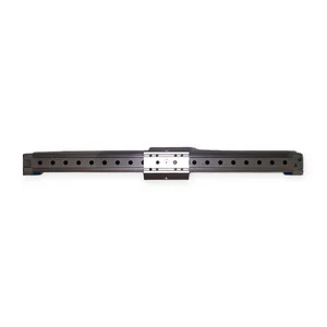 Festo DGPL-1 "-18.5" Ppva-Gf 20820925