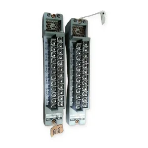 Foxboro Terminal Block Module