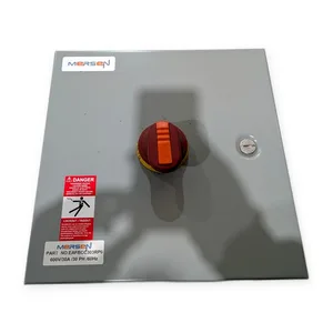 Mersen EAFBCC303RP0 Fuse – actual item, photo 1 of 7