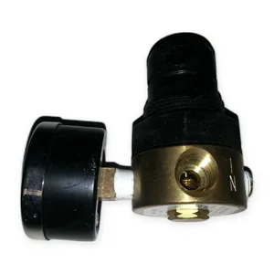 Watts R164-02BK Fluidair Air Pressure Regulator