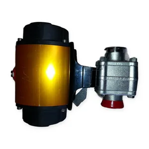 Worcester R6 E02 39 25 Pneumatic Valve Actuator