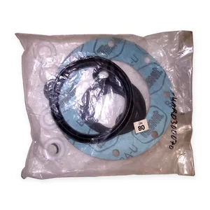 4AR0300070 Tesnit DN 80 Gasket