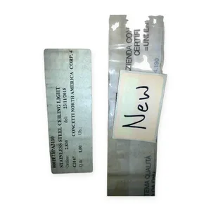0001E18PA3110 Stainless Steel Ceiling Light