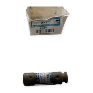 Littelfuse FLNR2 FLNR2A Fuse – actual item, photo 1 of 8