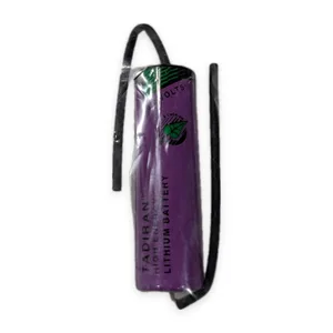 TL-5104 Lithium Thionyl Chloride Battery – actual item, photo 1 of 4