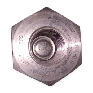 Durabla BSS 8005 Basic-Check Valve 1 in NPT Stainless Steel 1500 CWP Industrial