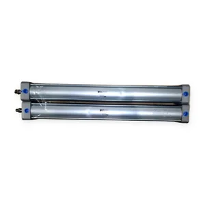 Vega NCDA1D250-2200-03005CDN Air Cylinder