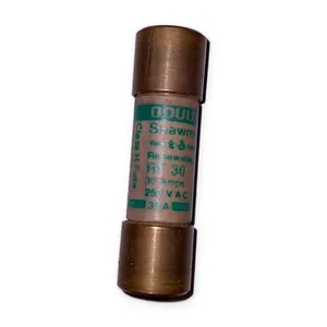 Gould RF 30 Fuse