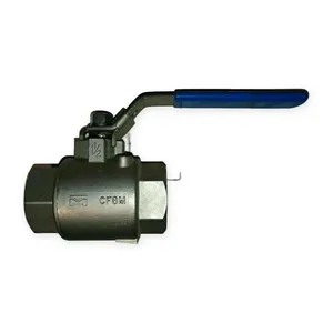 CF8M – actual item, photo 1 of 2