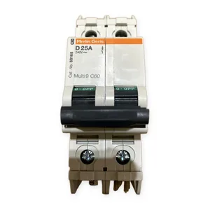 Merlin Gerin 60165 D-Curve Circuit Breaker