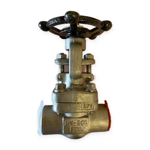 Powell GA08X6L0GB Stainless Steel Gate Valve