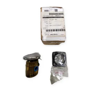 EGS 250PL-2-10-21-VAI/EQSD Control Valve