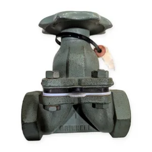 Grinnell Weir Diaphragm Valve Handwheel Cast Iron 1 in Female Threaded Grade T – actual item, photo 1 of 5