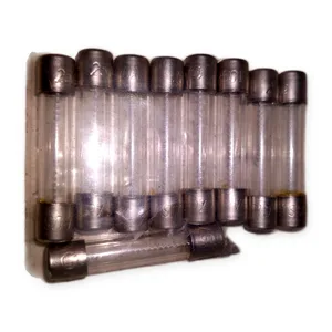 Bussmann AGC-10 Acting Glass Fuse