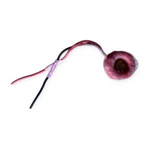 CT1-L Toroidal Current Transformer