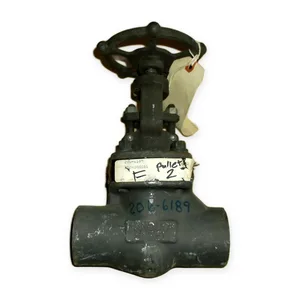 206-6189 Hancock Valve