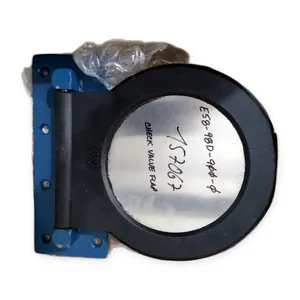 E58-98D-900-0 757067 Check Valve