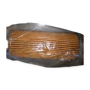 A06-01-0316-02-32 Hydrostatic Drive Filter Element