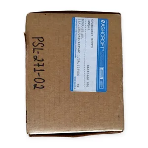 Ashcroft GPSN4GB25 X2CFS Pressure Switch