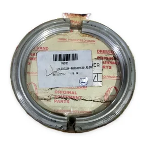 Aent LRES50 422397001 Labyrinth Seal