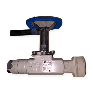 Schneider Electric IHPT-95002 Handwheel Valve