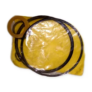 15400160100 Door Cylinder Seal