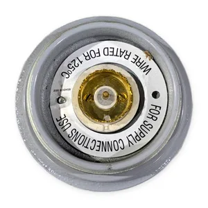 Appleton V-51 604008-001 Lampholder Socket