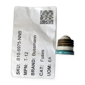Bussmann T-12 Time-Delay Plug Fuse – actual item, photo 1 of 6