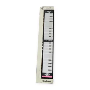 Modicon AS-B817-116 Input Module