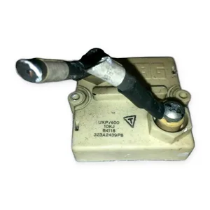 UXP/600 EBG Power Wirewound Resistor