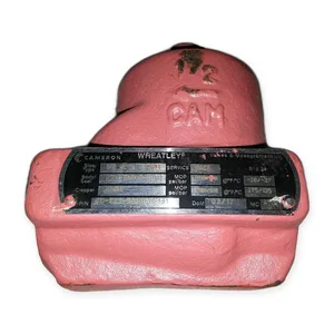 Cameron 9D-822-503360-131 Wheatley Swing Check Valve