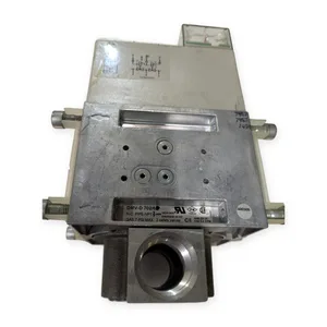 Dungs Dual Modular Gas Safety Valve
